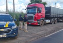 PRF apreende 41 m³ de madeira ilegal durante fiscalização na BR-155, em Marabá/PA — Polícia Rodoviária Federal WhatsApp Image 2025-03-24 at 16.32.26.jpeg