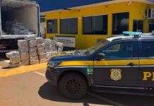 PRF apreende 989 Kg de maconha em Três Lagoas (MS) — Polícia Rodoviária Federal Imagem do WhatsApp de 2025-03-07 à(s) 10.58.20_b4fb0db8.jpg