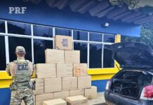 PRF apreende carga de cigarros contrabandeados na BR-364, no Acre — Polícia Rodoviária Federal 8500 MAÇOS CIGARRO.jpg