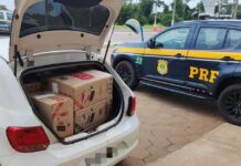 PRF apreende cigarros contrabandeados em Bataguassu (MS) — Polícia Rodoviária Federal Imagem do WhatsApp de 2025-03-11 à(s) 16.12.14_625179a1.jpg