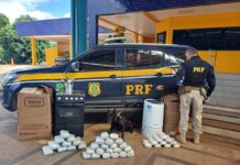 PRF apreende pasta base e maconha escondidas em eletrodomésticos em ônibus na BR-364 — Polícia Rodoviária Federal cães