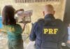PRF detém condutor por crime ambiental e resgata ave silvestre no Acre — Polícia Rodoviária Federal WhatsApp Image 2025-03-06 at 15.26.09 (1).jpeg