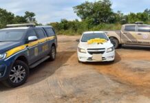 PRF e PMBA apreendem mais de 15 kg de drogas e munições na BR-242 — Polícia Rodoviária Federal WhatsApp Image 2025-03-24 at 16.17.39.jpeg