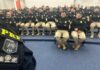 PRF inicia Operação Temática de Enfrentamento às Fraudes Veiculares no RJ — Polícia Rodoviária Federal IMG-20250324-WA0360.jpg