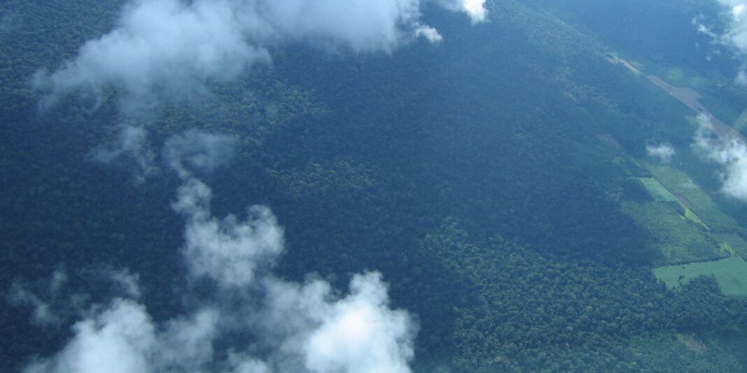 Petrobras comprará R$ 450 milhões em créditos de carbono na Petrobras comprará R$ 450 milhões em créditos de carbono na Amazônia