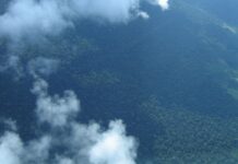 Petrobras comprará R$ 450 milhões em créditos de carbono na Amazônia Petrobras comprará R$ 450 milhões em créditos de carbono na Amazônia