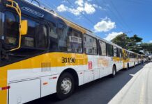 Prefeitura segue com entrega de novos ônibus climatizados na próxima semana – Secretaria de Comunicação Prefeitura segue com entrega de novos ônibus climatizados na próxima semana – Secretaria de Comunicação