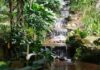 Sistema de água com mais de 200 anos abastece Jardim Botânico do Rio Sistema de água com mais de 200 anos abastece Jardim Botânico do Rio