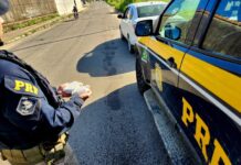 Ação da PRF intercepta carro com cocaína na Grande Fortaleza — Polícia Rodoviária Federal cd5948dd-0b9a-4c81-a0ef-4af6411b108f.jpeg