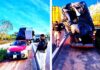 Caminhonete que transportava carga de forma irregular é retido pela PRF na BR 101 — Polícia Rodoviária Federal WhatsApp Image 2025-04-26 at 14.09.56.jpeg