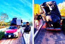 Caminhonete que transportava carga de forma irregular é retido pela PRF na BR 101 — Polícia Rodoviária Federal WhatsApp Image 2025-04-26 at 14.09.56.jpeg