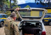 Em Chapecó, PRF intercepta 60 quilos de maconha que iriam para Lages — Polícia Rodoviária Federal ebcfe98f-a973-4bcc-bf8a-338b2cd2fb28.jpg