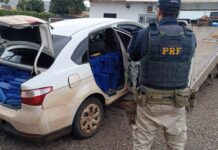 PRF apreende 1 tonelada de maconha em Campo Grande (MS) — Polícia Rodoviária Federal Imagem do WhatsApp de 2025-04-17 à(s) 13.22.27_a5b36633.jpg