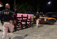 PRF apreende 15 mil maços de cigarros contrabandeados em ônibus na BR-316, em Castanhal/PA — Polícia Rodoviária Federal PRF apreende 15 mil maços de cigarros contrabandeados em ônibus na BR-316, em Castanhal