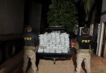 PRF apreende 203 kg de skunk escondidos em falsa mudança na BR-230, em Anapu/PA — Polícia Rodoviária Federal PRF apreende 203 kg de skunk escondidos em falsa mudança na BR-230, em Anapu