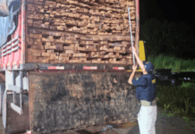 PRF apreende caminhão com 39 m³ de madeira ilegal em Bela Vista do Maranhão — Polícia Rodoviária Federal 1.png