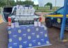 PRF apreende cerca de 1 tonelada de maconha em Uberlândia — Polícia Rodoviária Federal WhatsApp Image 2025-04-10 at 15.39.48.jpeg