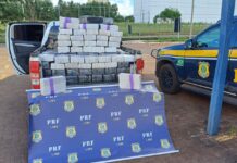 PRF apreende cerca de 1 tonelada de maconha em Uberlândia — Polícia Rodoviária Federal WhatsApp Image 2025-04-10 at 15.39.48.jpeg