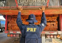 PRF em Rondônia, no último final de semana, apreendeu mais de 88 m³ de madeira transportada irregularmente — Polícia Rodoviária Federal foto padrão madeira.jpeg
