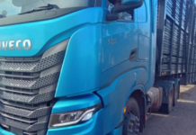 PRF identifica transporte irregular de 101 bezerros em Imperatriz (MA) — Polícia Rodoviária Federal Cópia de Cópia de Cópia de Cópia de Design sem nome (7).png