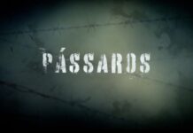 PRF lança documentário original sobre ressocialização e prevenção às drogas no sistema prisional — Polícia Rodoviária Federal Imagem 10-04-2025 às 16.01.jpeg