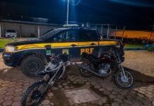 PRF recupera veículos com sinais de adulteração e registro de furto em Humaitá/AM — Polícia Rodoviária Federal cd137de2-87e3-40ef-9e69-d6d9a8c78d4d.jpg
