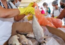 Prefeitura iniciou, nessa segunda-feira, 31, a entrega de senhas visando distribuição de Peixes da Semana Santa, no Espaço Conviver, em Santo Antonio de Jesus