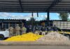 Em Barreiras (BA), PRF apreende quase meia tonelada de cocaína após fuga de motorista — Polícia Rodoviária Federal WhatsApp Image 2025-05-16 at 18.53.13.jpeg