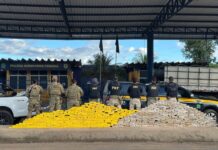 Em Barreiras (BA), PRF apreende quase meia tonelada de cocaína após fuga de motorista — Polícia Rodoviária Federal WhatsApp Image 2025-05-16 at 18.53.13.jpeg