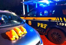 Mulheres do DF são detidas pela PRF com maconha escondida dentro de airbag; veja vídeo — Polícia Rodoviária Federal WhatsApp Image 2025-05-04 at 07.13.38.jpeg