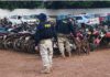 PA: Edital Nº 07/2025 – Notificação de Leilão/Retirada de veículos recolhidos nos pátios vinculados à SPRF-PA. — Polícia Rodoviária Federal IMAGEM PRF DE COSTAS E CARAMELO.jpeg