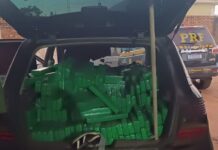PRF apreende 1 tonelada de maconha em Sidrolândia (MS) — Polícia Rodoviária Federal Imagem do WhatsApp de 2025-05-23 à(s) 08.18.09_ee7097d5.jpg