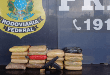 PRF apreende 19 kg de droga e uma arma de fogo na BR-135, em São Luís (MA) — Polícia Rodoviária Federal 1.png