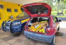 PRF apreende 242 Kg de maconha em Três Lagoas (MS) — Polícia Rodoviária Federal Imagem do WhatsApp de 2025-04-30 à(s) 13.51.28_7cf55f73.jpg
