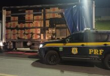 PRF apreende aproximadamente 210 mil maços de cigarro na BR-116, em Cajati/SP — Polícia Rodoviária Federal WhatsApp Image 2025-05-07 at 03.51.33.jpeg