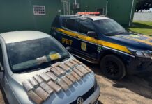 PRF apreende maconha e cocaína em Chapadão do Sul (MS) — Polícia Rodoviária Federal Imagem do WhatsApp de 2025-05-20 à(s) 11.08.33_0a991a30.jpg