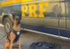 PRF apreende maconha em ônibus interestadual na BR-020 — Polícia Rodoviária Federal 83de6f31-caa6-4e1a-b6c4-cf015bd0541b.jpg