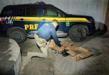 PRF apreende mais de 50 kg de Maconha dentro de veículo na BR 251 em Salinas (MG) — Polícia Rodoviária Federal Maconha Salinas.jpeg
