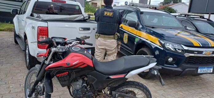 PRF apreende motos adulteradas e resgata pássaros silvestres no Sertão