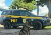 PRF apreende quase 100 quilos de entorpecentes em quatro ocorrências em Mato Grosso — Polícia Rodoviária Federal WhatsApp Image 2025-05-02 at 10.51.09.jpeg