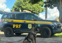 PRF apreende quase 100 quilos de entorpecentes em quatro ocorrências em Mato Grosso — Polícia Rodoviária Federal WhatsApp Image 2025-05-02 at 10.51.09.jpeg