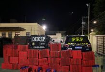 PRF e PCMG apreendem quase 1 tonelada de Maconha durante ação conjunta em Formiga (MG) — Polícia Rodoviária Federal Maconha com PC em Formiga2.jpg