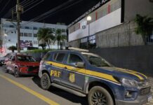 PRF prende dupla por tráfico de animal silvestre, maus-tratos e uso de documento falso na Dutra, em Jacareí/SP — Polícia Rodoviária Federal WhatsApp Image 2025-05-08 at 06.jpg