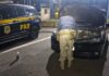 PRF recupera em Betim (MG) Toyota Corolla furtado em 2024 na cidade de Belo Horizonte (MG) — Polícia Rodoviária Federal Corolla recuperado em Betim.jpeg.jpg