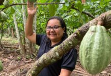 Potencial para bioeconomia atrai investimentos na Amazônia Potencial para bioeconomia atrai investimentos na Amazônia