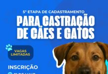 Prefeitura de Santo Antônio de Jesus realizará 5ª etapa de cadastramento para castração de Cães e Gatos – Prefeitura de Santo Antônio de Jesus – BA Prefeitura de Santo Antônio de Jesus realizará 5ª etapa de cadastramento para castração de Cães e Gatos – Prefeitura de Santo Antônio de Jesus - BA