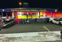 Ação conjunta PRF e PM/SC faz a maior apreensão de maconha do ano em SC — Polícia Rodoviária Federal ba094218-664e-4bbc-b046-6589130bd776s.jpg