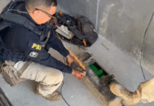 De forma simultânea PRF realiza duas grandes apreensões de Drogas em Teresina e Valença do Piauí — Polícia Rodoviária Federal Captura de tela 2025-06-27 184451.png