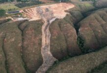 Goiás dá 2 dias para aterro apresentar plano de recolhimento de lixo Goiás dá 2 dias para aterro apresentar plano de recolhimento de lixo