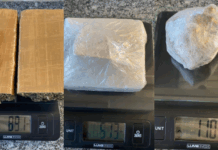 Mais de 1,5 kg de drogas são apreendidos pela PRF durante fiscalização em Balsas (MA) — Polícia Rodoviária Federal Cópia de Cópia de Cópia de Cópia de Design sem nome (30).png